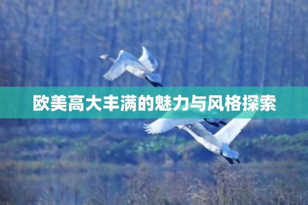 欧美高大丰满的魅力与风格探索
