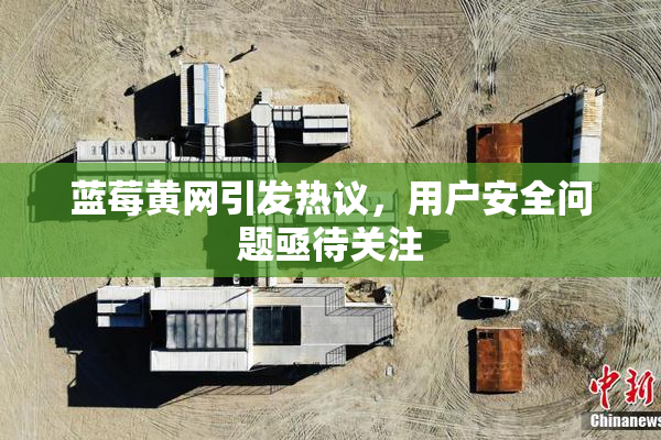 蓝莓黄网引发热议，用户安全问题亟待关注