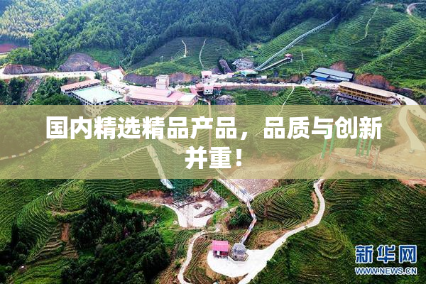 国内精选精品产品，品质与创新并重！