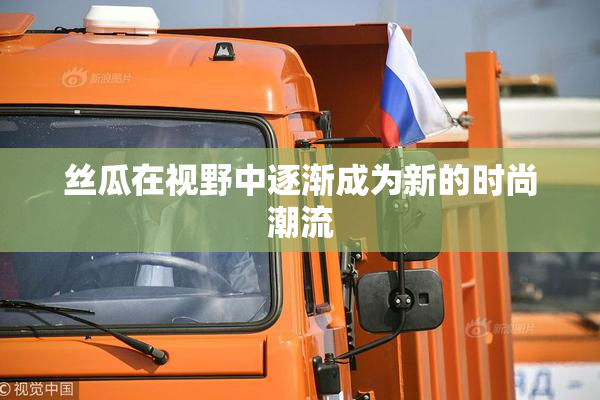 丝瓜在视野中逐渐成为新的时尚潮流