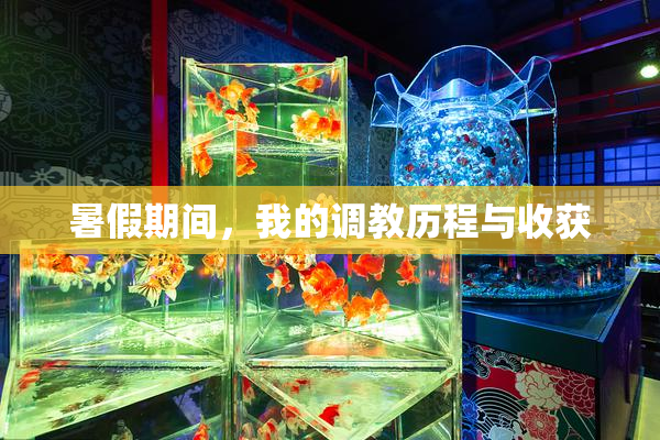 暑假期间，我的调教历程与收获