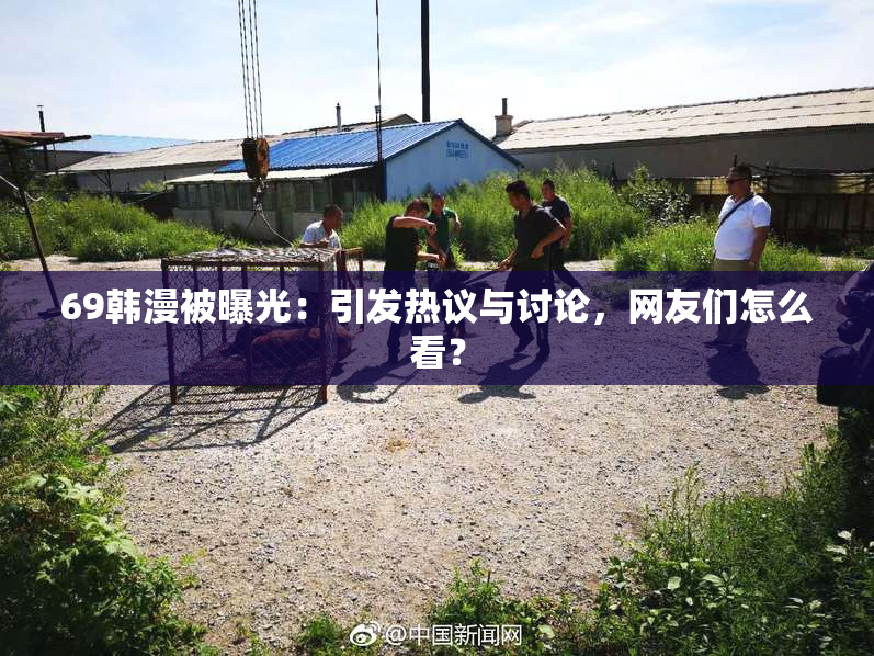 69韩漫被曝光：引发热议与讨论，网友们怎么看？