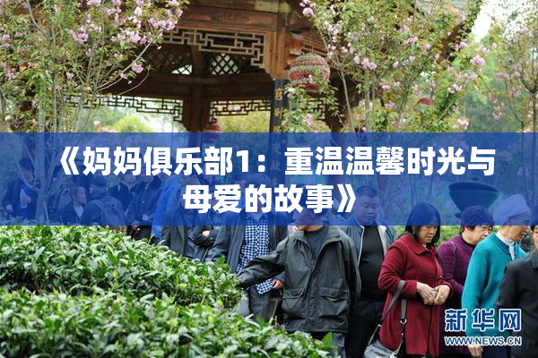 《妈妈俱乐部1：重温温馨时光与母爱的故事》