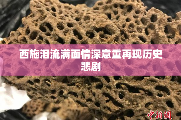 西施泪流满面情深意重再现历史悲剧