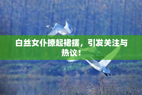 白丝女仆撩起裙摆，引发关注与热议！
