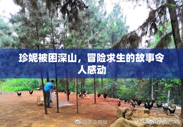 珍妮被困深山，冒险求生的故事令人感动