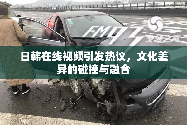 日韩在线视频引发热议，文化差异的碰撞与融合