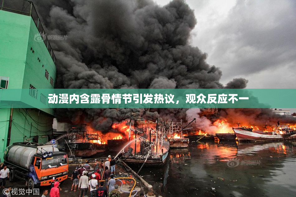 动漫内含露骨情节引发热议，观众反应不一