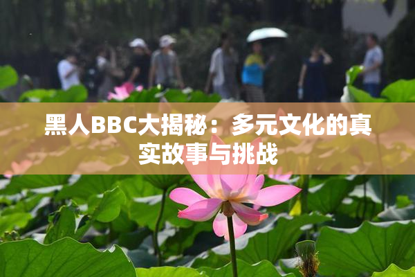 黑人BBC大揭秘：多元文化的真实故事与挑战