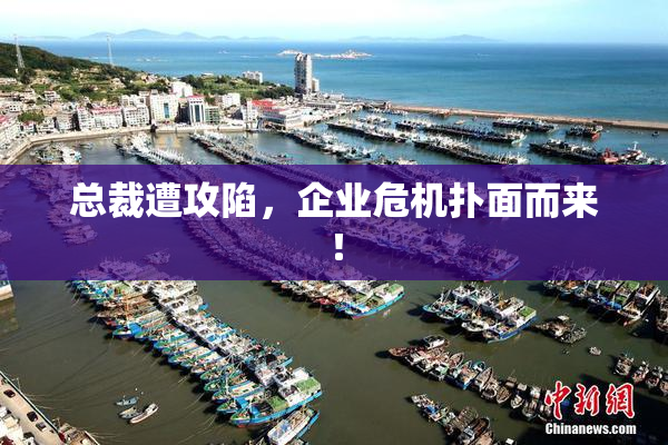 总裁遭攻陷，企业危机扑面而来！