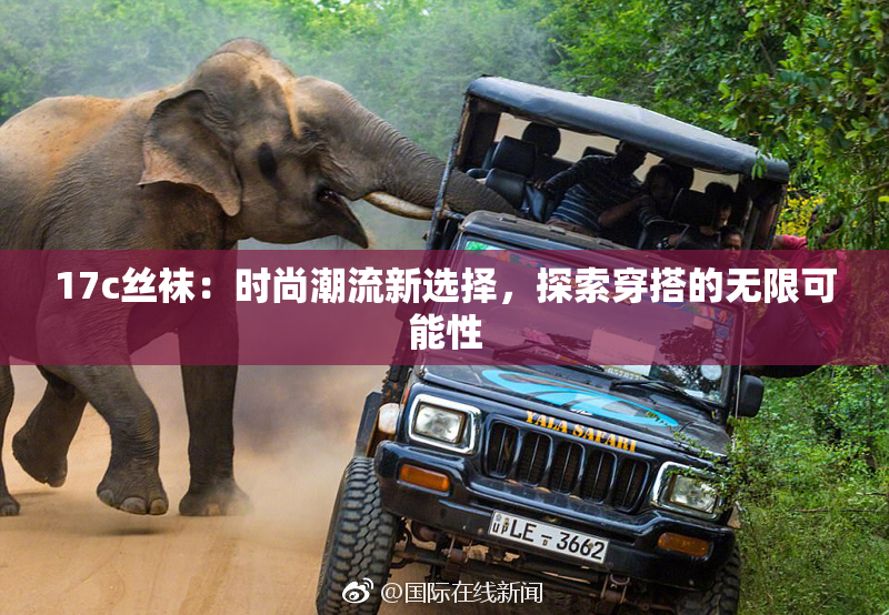 17c丝袜：时尚潮流新选择，探索穿搭的无限可能性