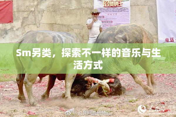Sm另类，探索不一样的音乐与生活方式