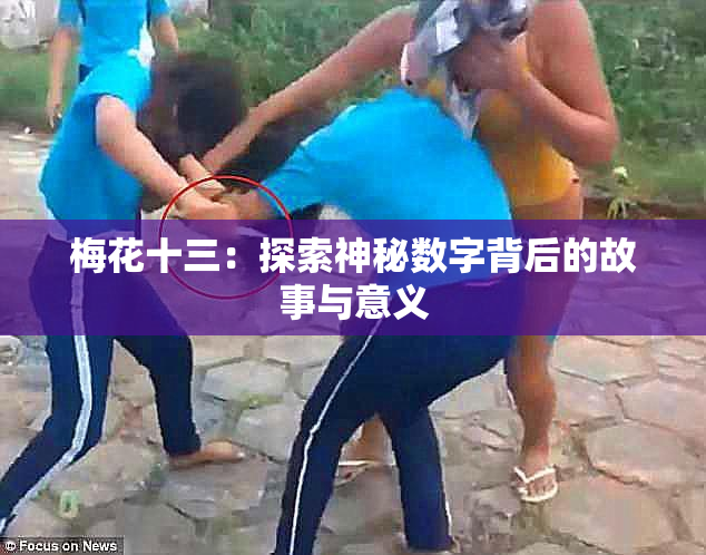 梅花十三：探索神秘数字背后的故事与意义