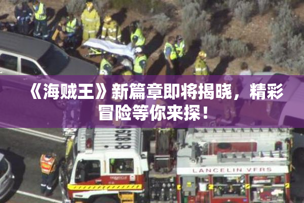 《海贼王》新篇章即将揭晓，精彩冒险等你来探！