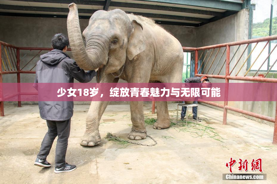 少女18岁，绽放青春魅力与无限可能