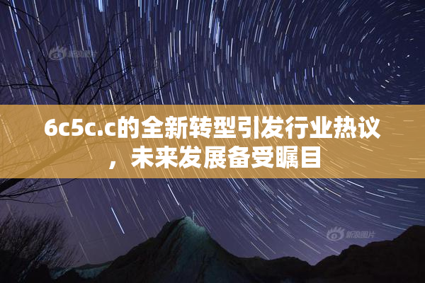 6c5c.c的全新转型引发行业热议，未来发展备受瞩目