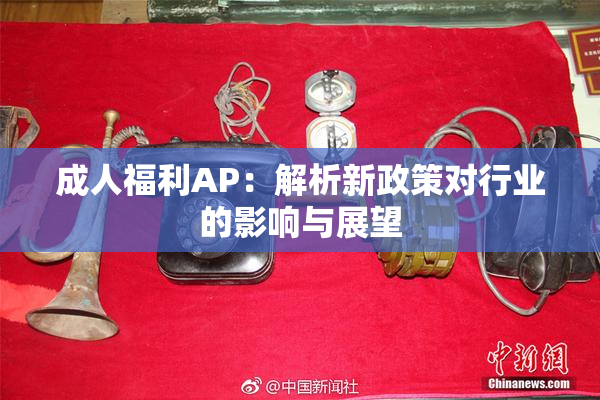 成人福利AP：解析新政策对行业的影响与展望