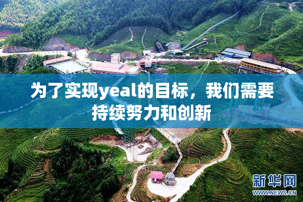 为了实现yeal的目标，我们需要持续努力和创新