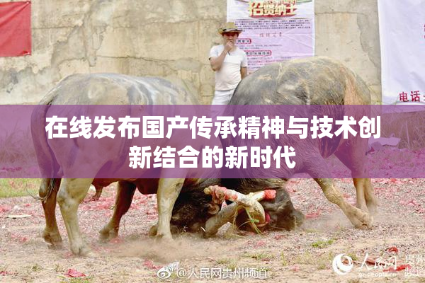 在线发布国产传承精神与技术创新结合的新时代