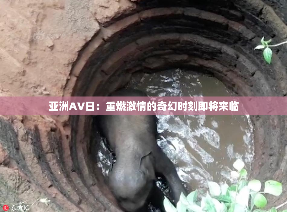 亚洲AV日：重燃激情的奇幻时刻即将来临