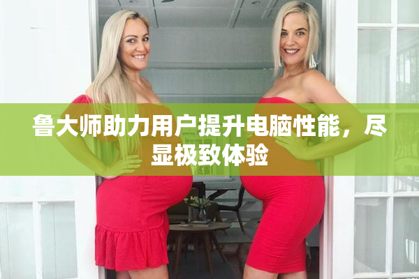 鲁大师助力用户提升电脑性能，尽显极致体验