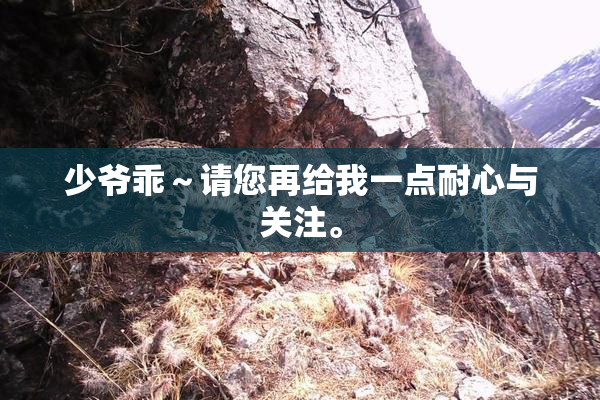 少爷乖～请您再给我一点耐心与关注。