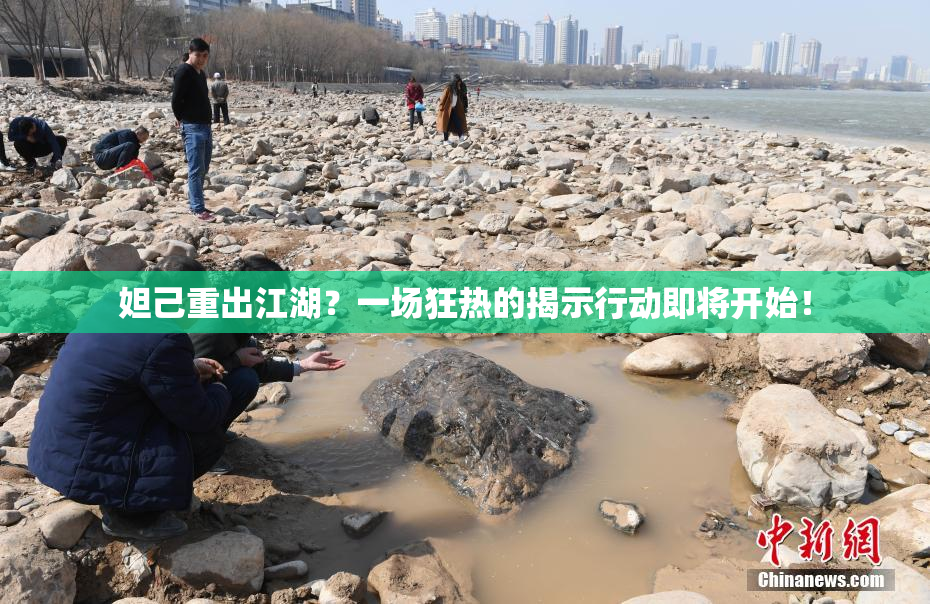 妲己重出江湖？一场狂热的揭示行动即将开始！