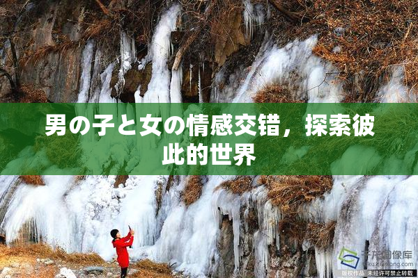 男の子と女の情感交错，探索彼此的世界
