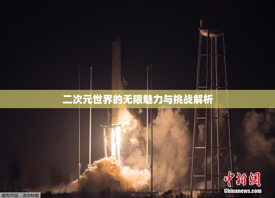 二次元世界的无限魅力与挑战解析