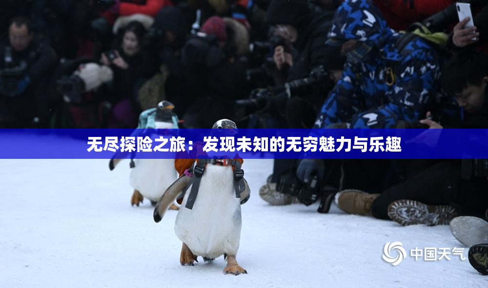 无尽探险之旅：发现未知的无穷魅力与乐趣