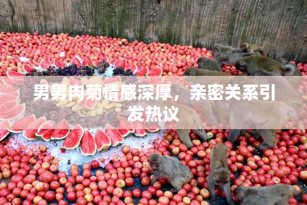 男男肉菊情感深厚，亲密关系引发热议