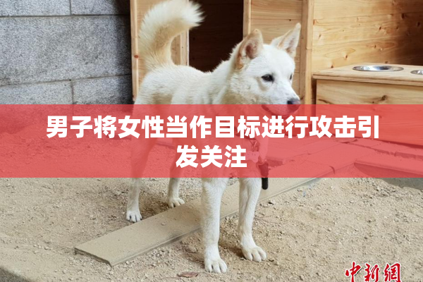 男子将女性当作目标进行攻击引发关注