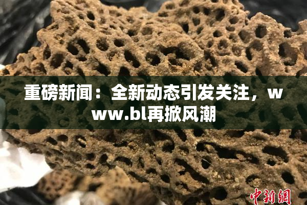 重磅新闻：全新动态引发关注，www.bl再掀风潮