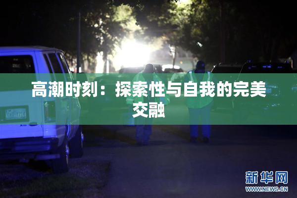 高潮时刻：探索性与自我的完美交融