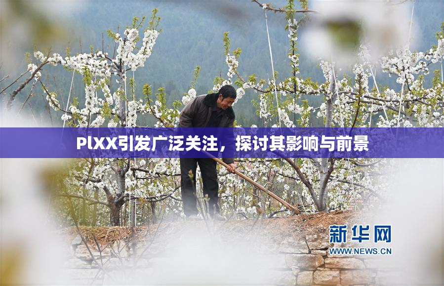 PlXX引发广泛关注，探讨其影响与前景