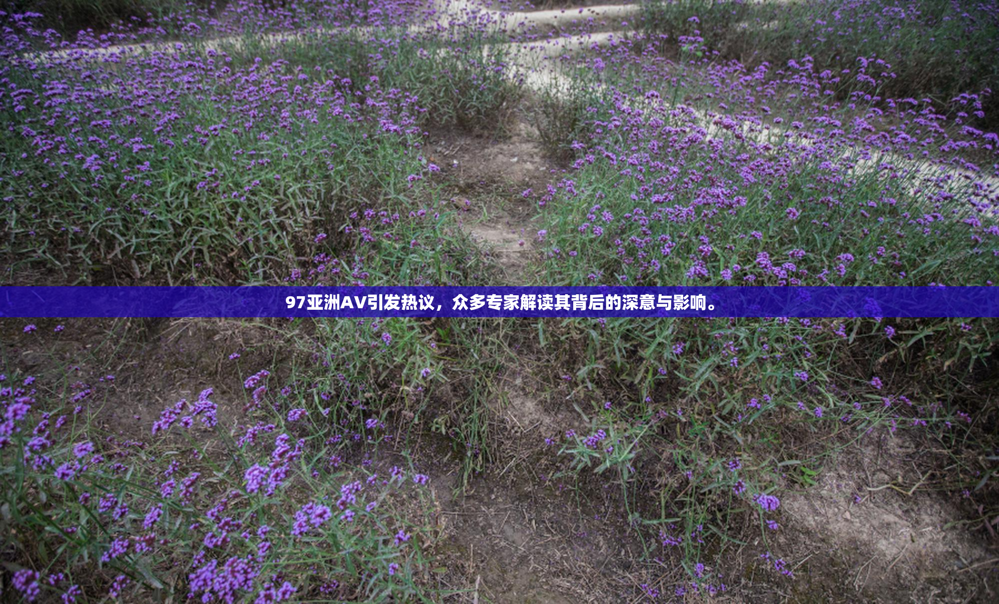 97亚洲AV引发热议，众多专家解读其背后的深意与影响。