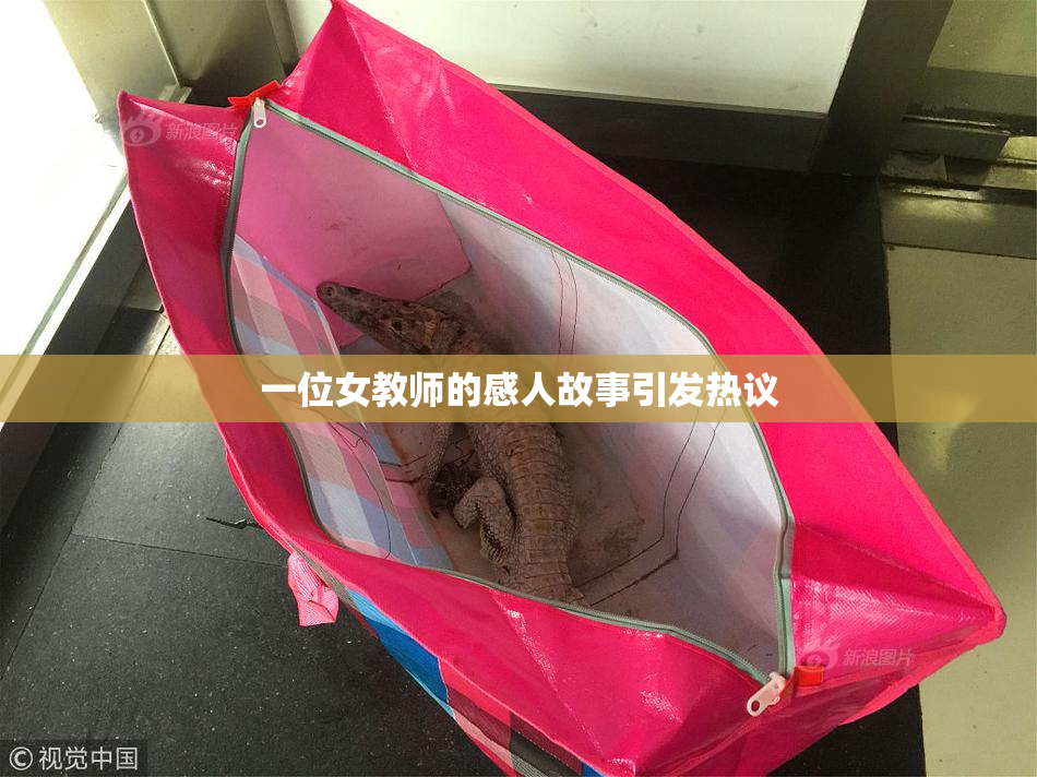 一位女教师的感人故事引发热议