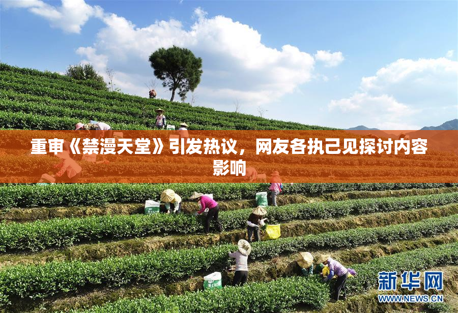 重审《禁漫天堂》引发热议，网友各执己见探讨内容影响