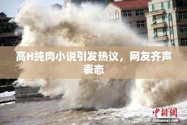 高H纯肉小说引发热议，网友齐声表态