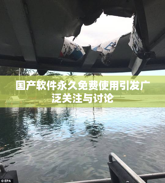 国产软件永久免费使用引发广泛关注与讨论