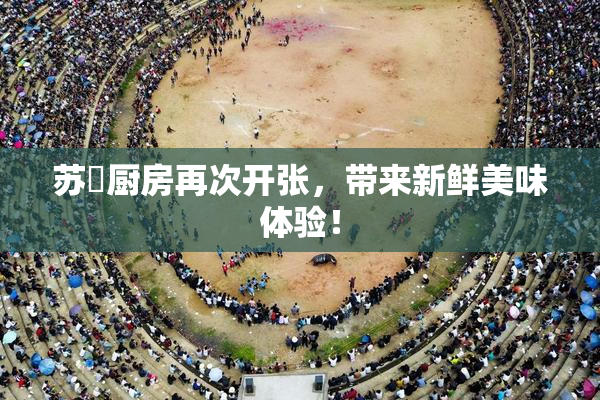 苏玥厨房再次开张，带来新鲜美味体验！