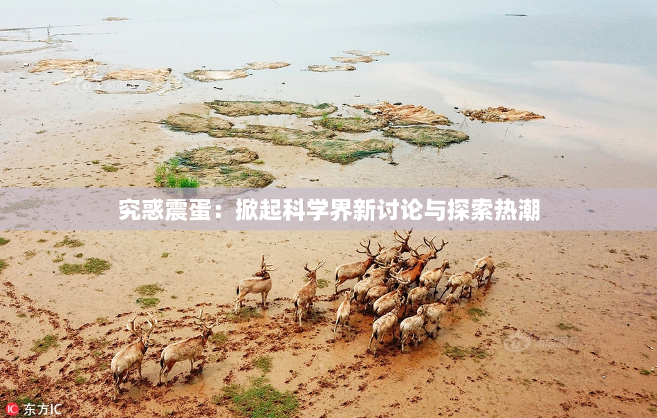 究惑震蛋：掀起科学界新讨论与探索热潮