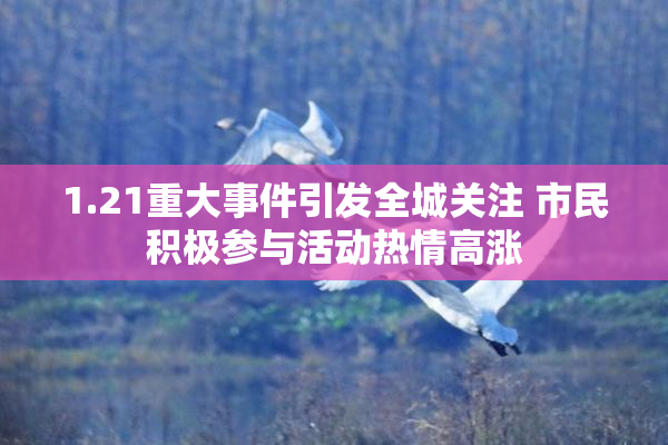 1.21重大事件引发全城关注 市民积极参与活动热情高涨
