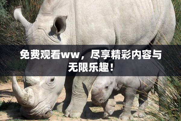 免费观看ww，尽享精彩内容与无限乐趣！