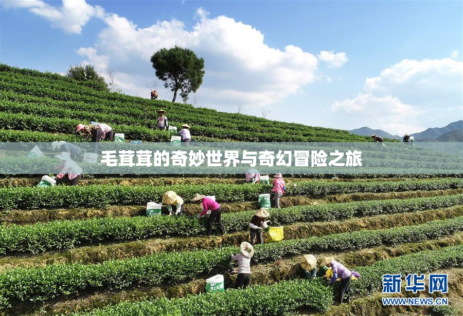 毛茸茸的奇妙世界与奇幻冒险之旅