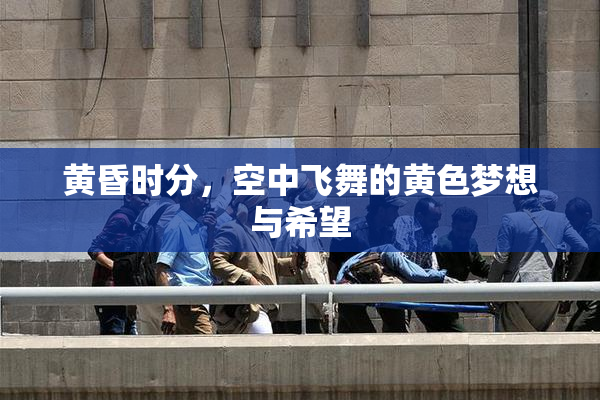 黄昏时分，空中飞舞的黄色梦想与希望