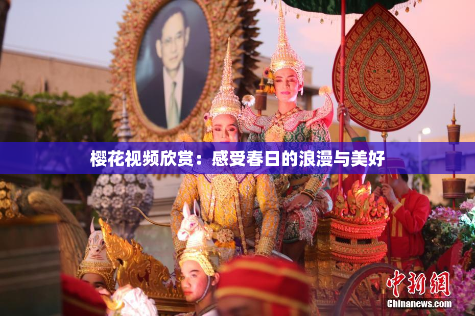 樱花视频欣赏：感受春日的浪漫与美好