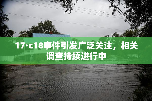 17·c18事件引发广泛关注，相关调查持续进行中