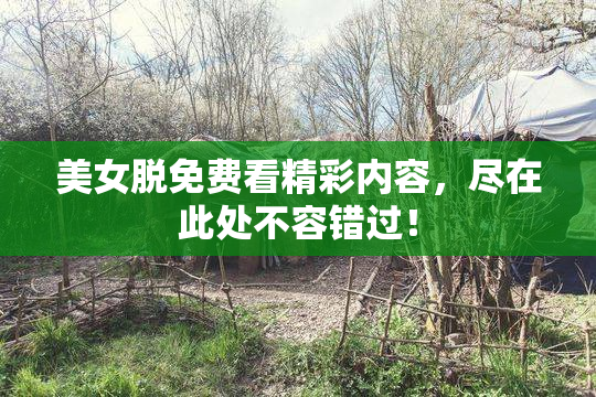 美女脱免费看精彩内容，尽在此处不容错过！