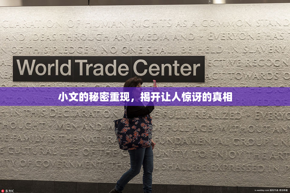 小文的秘密重现，揭开让人惊讶的真相